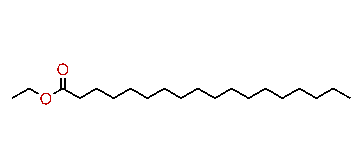 Ethyl octadecanoate